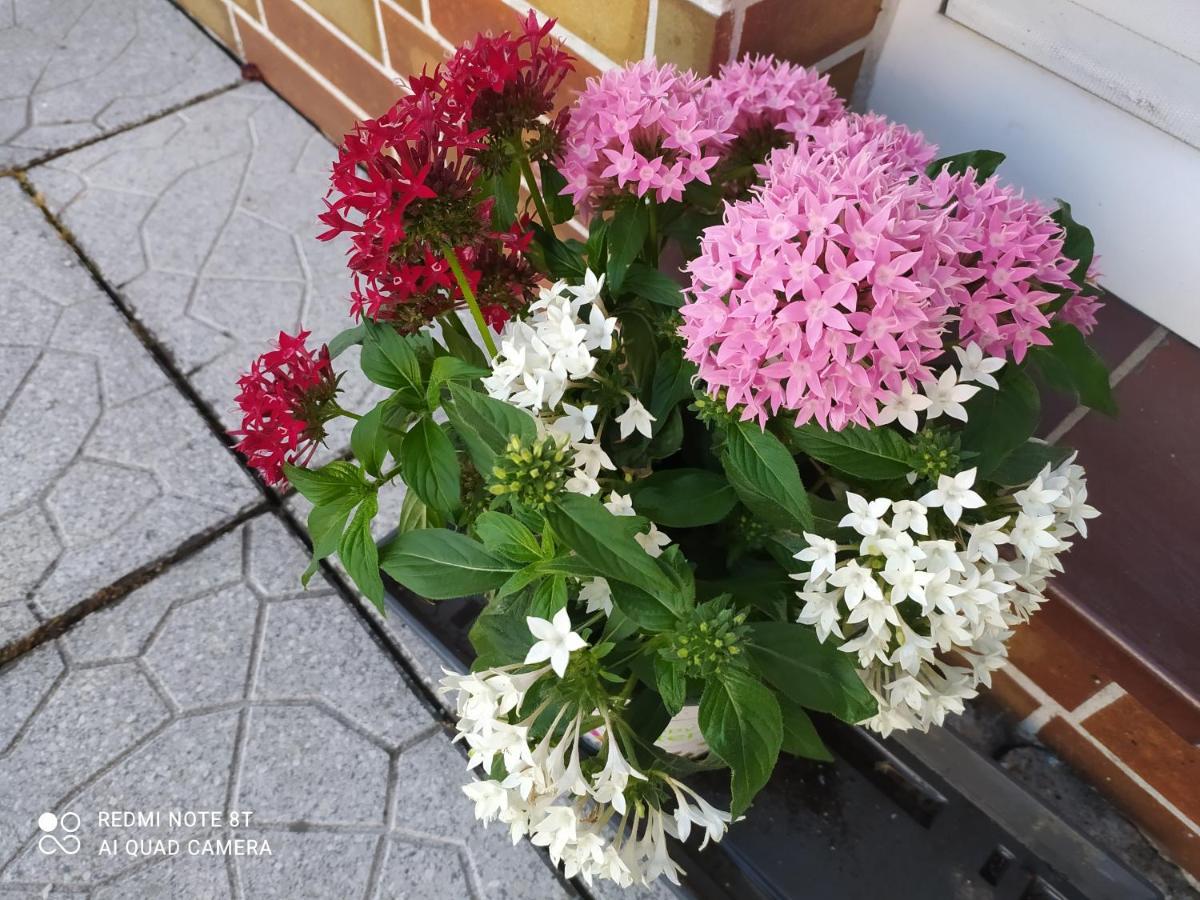 Ferienwohnung Espenau Екстер'єр фото